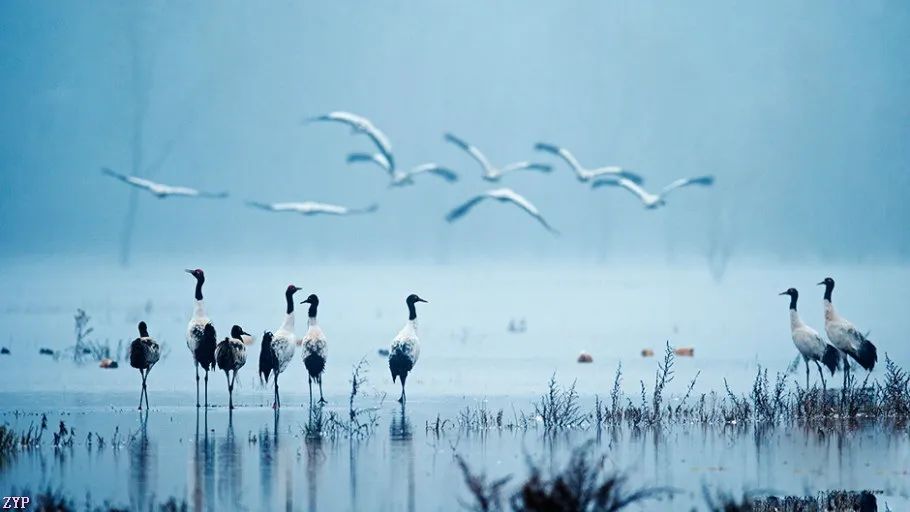 中国人文摄影获奖作品,大美中国摄影作品展获奖