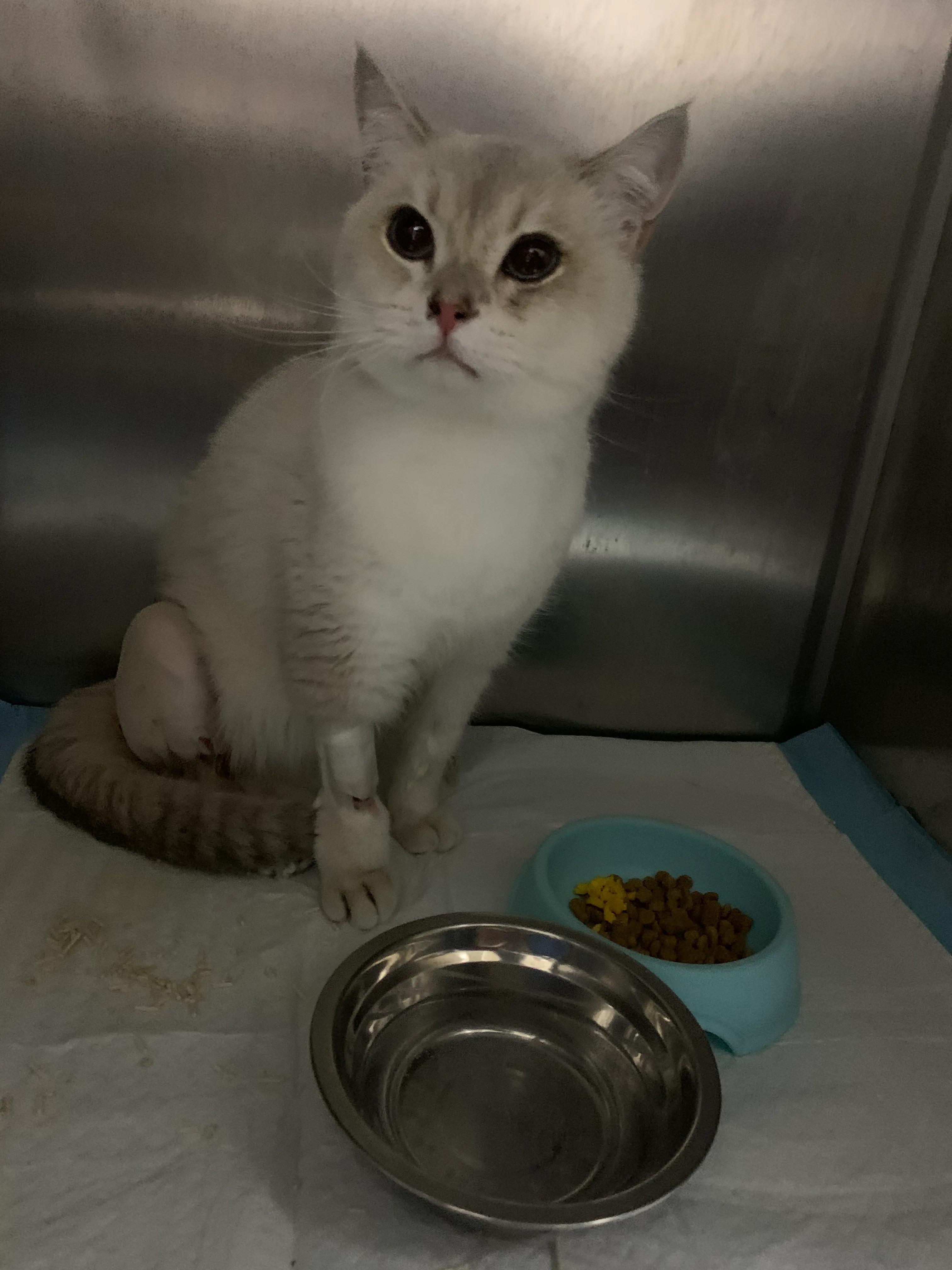 探视我家的小宠——点点