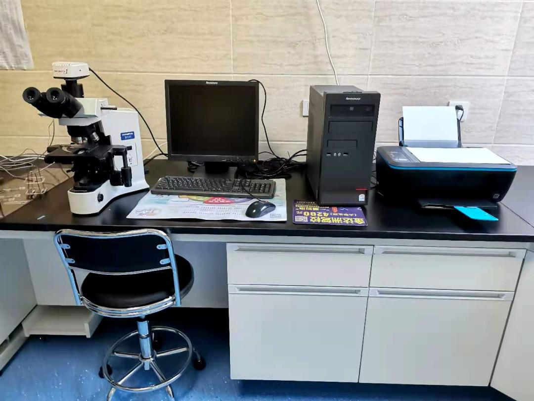 脑膜炎10天才确诊,脑膜炎确诊