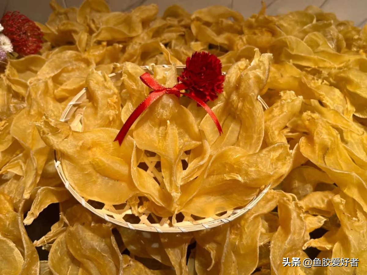 鱼胶养殖好还是野生的好,养殖的鱼胶没什么效果吗