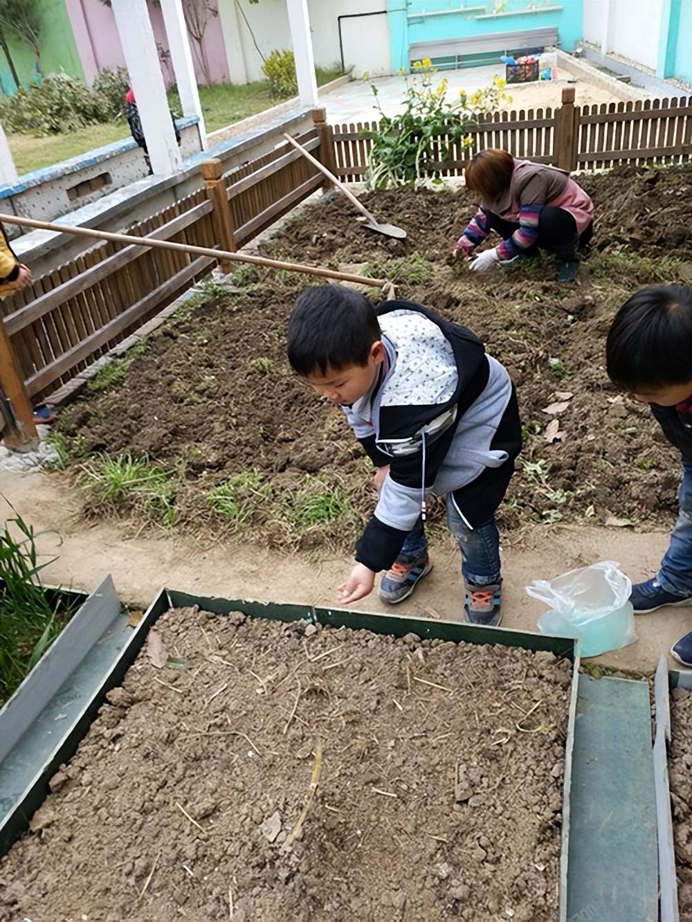 什么农作物可以浇人尿,人尿施在植料果树上可以么