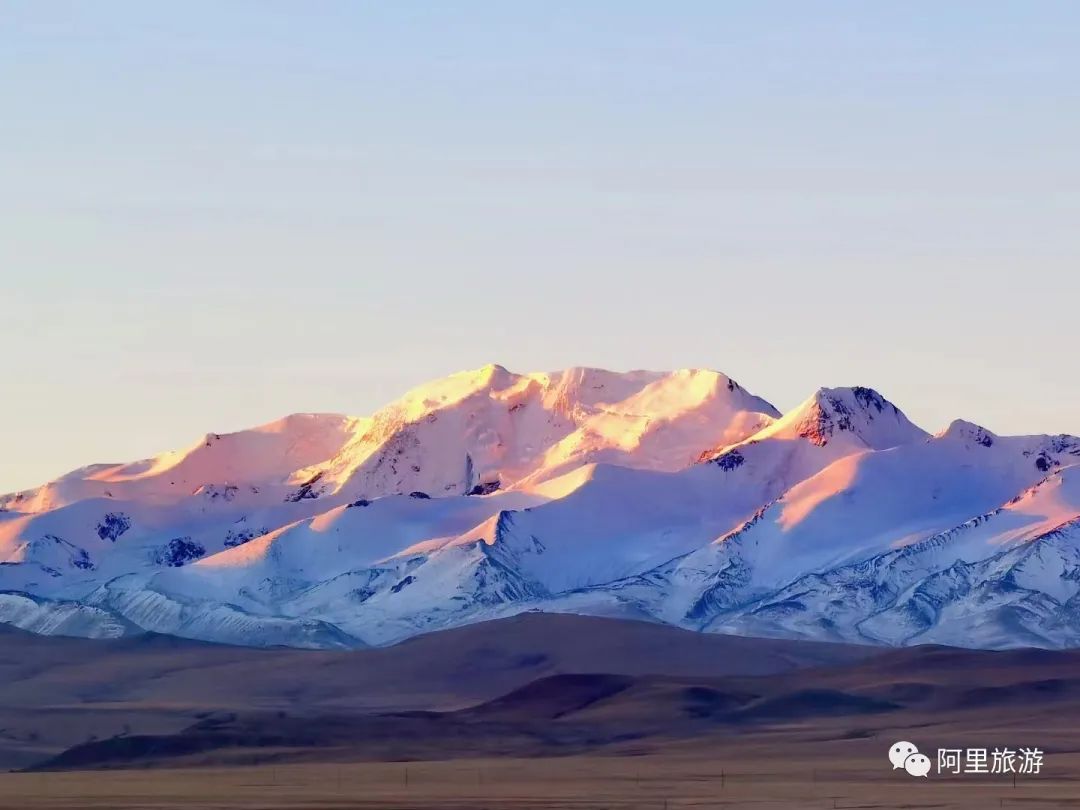 西藏最近很火的大地之树,网红大地之树