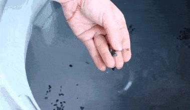 滚筒洗衣机为什么被淘汰,滚筒洗衣机为什么被人讨厌