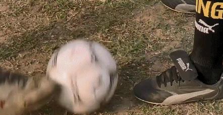 8090年代香港好看的经典喜剧,新年香港经典喜剧片