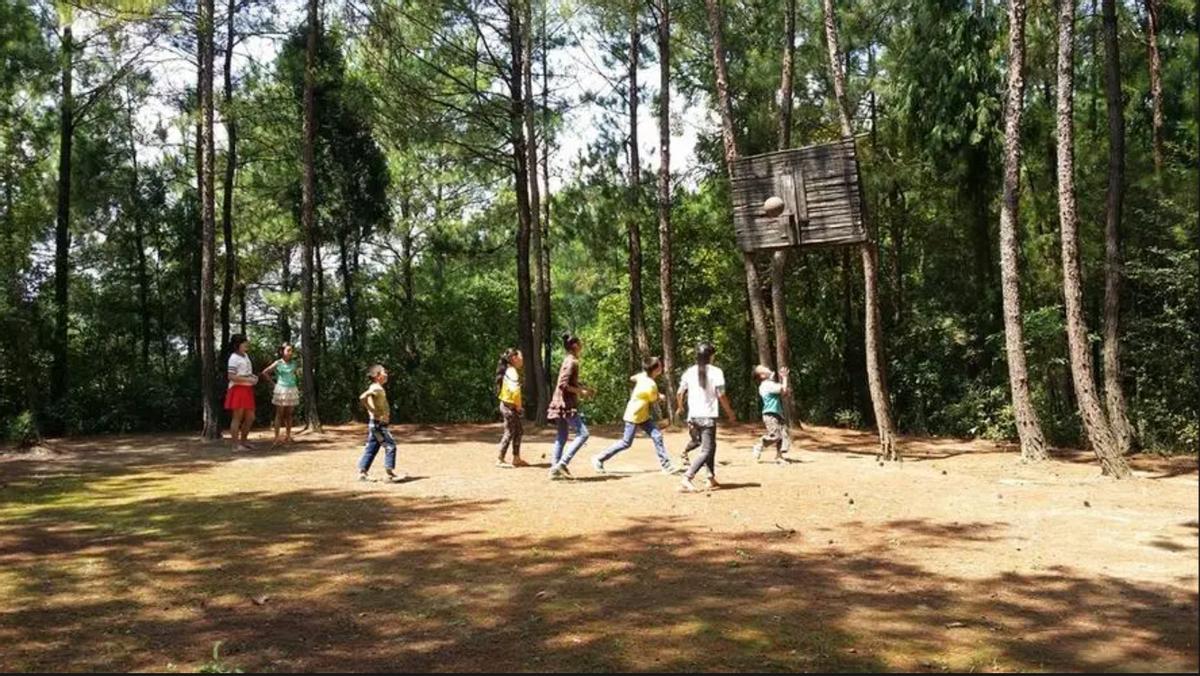 80后篮球回忆,篮球故事故事会