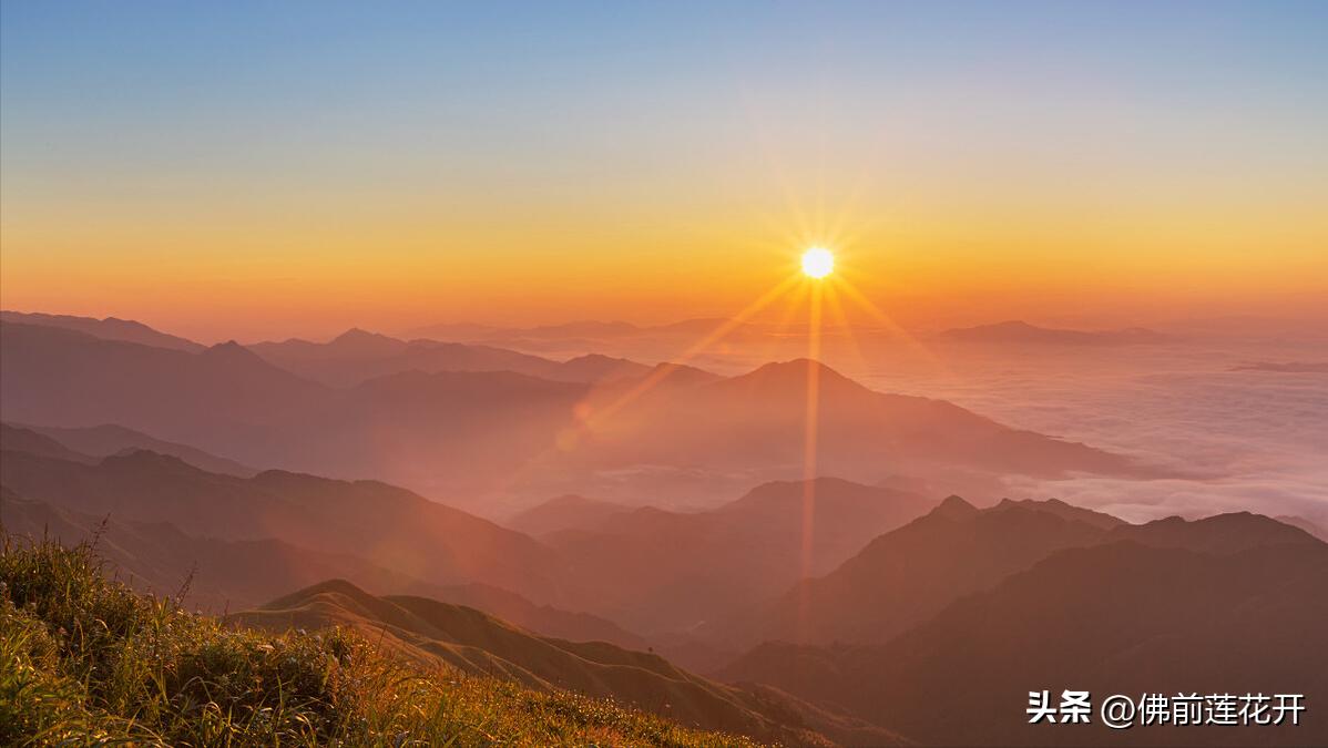 春嫂电影解说,春嫂美食