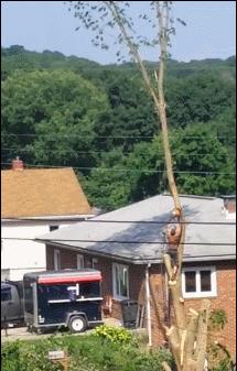 被石头划伤头有点晕,被石头磕到头流血