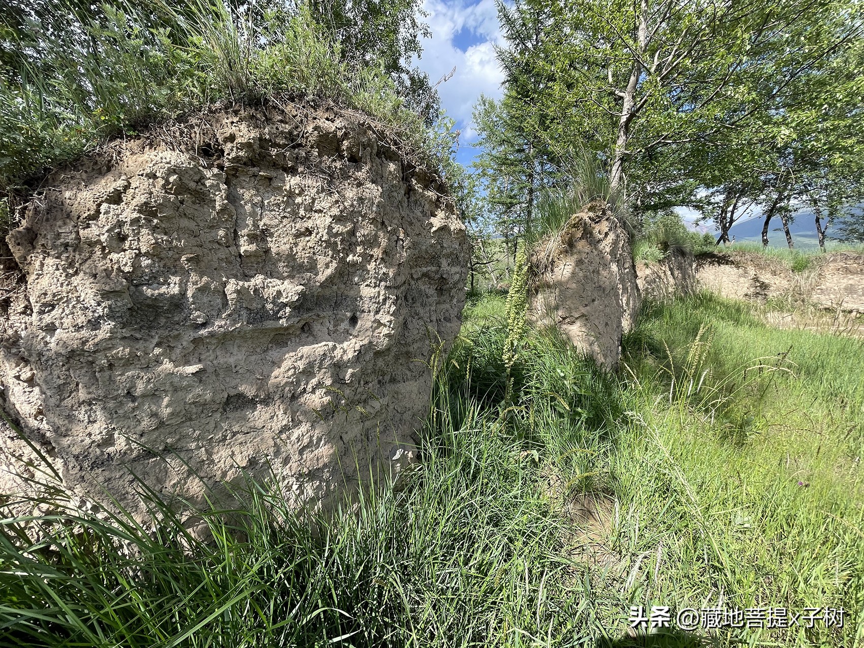 西宁饮水思源探秘三江源活动,青海大通山洪灾观后感
