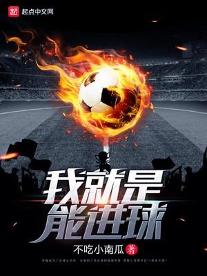 一部关于足球的小说推荐,有什么好看的足球小说啊