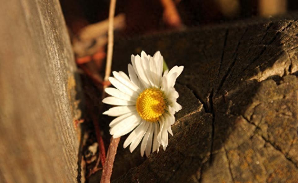 退休必读,退休后必读的中国书