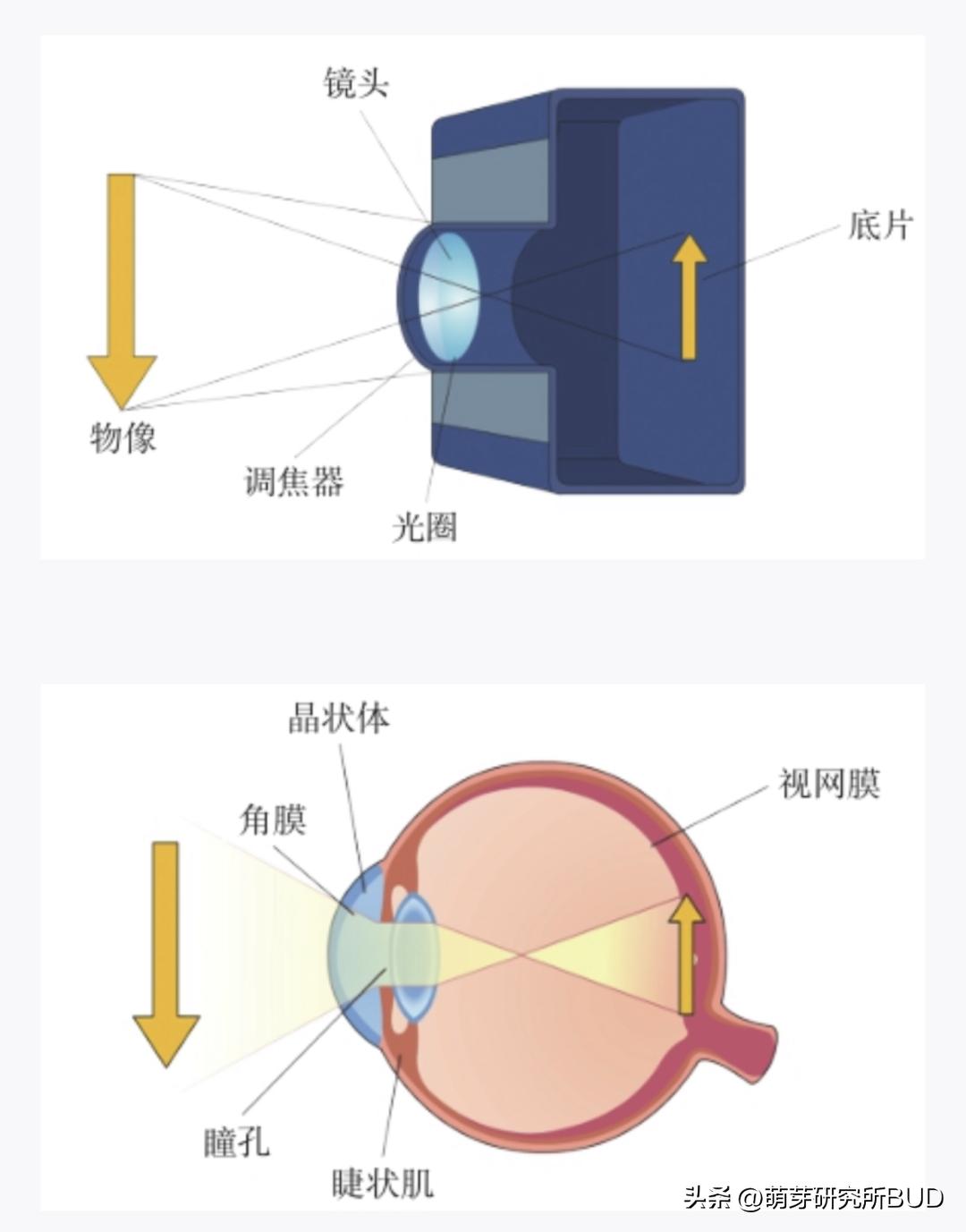孩子眼睛4.4和5.0需要配眼镜,孩子配眼镜是配到1.0的视力吗