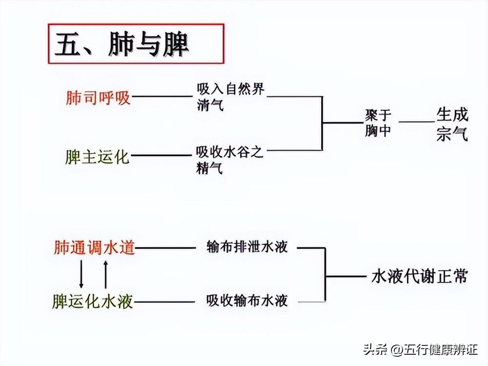 气血不足艾灸怎么调理最好,气逆艾灸调理用哪些穴位