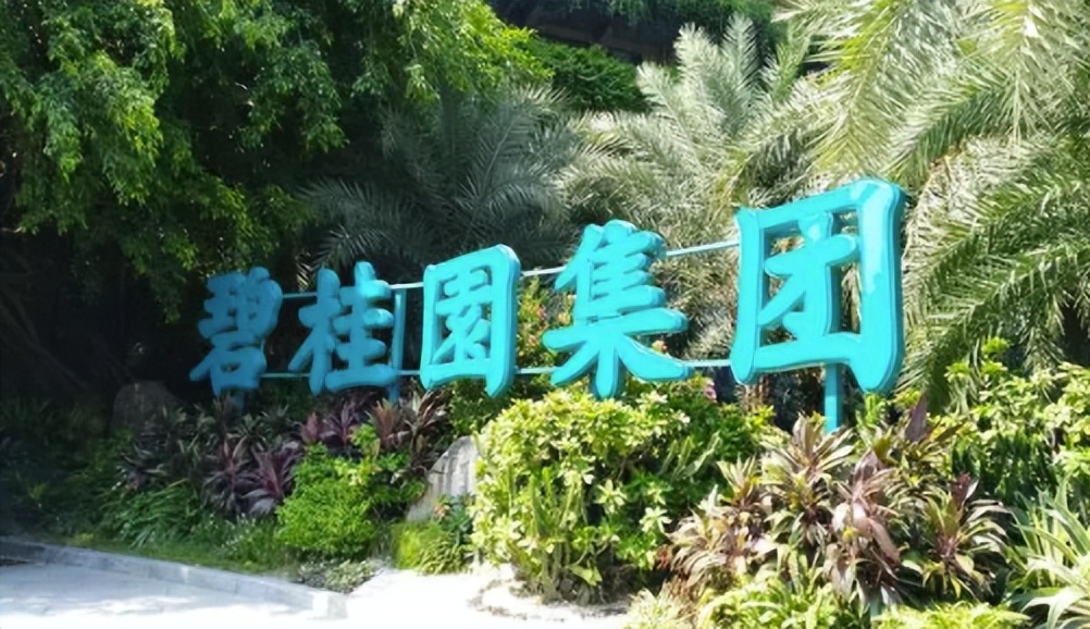 碧桂园海南区域总裁叶剑波,碧桂园海南总裁