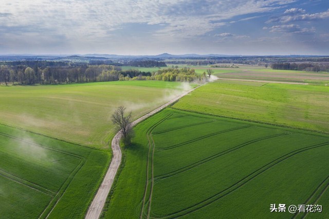河南西华县是哪个市,西华县各个地方的介绍