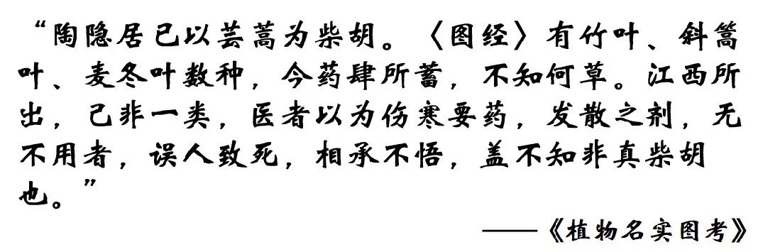 中药真伪鉴定案例,中药鉴定真假找谁