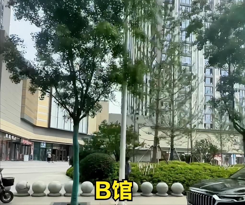 保利新武昌k6拿地价,保利新武昌k4哪栋最好