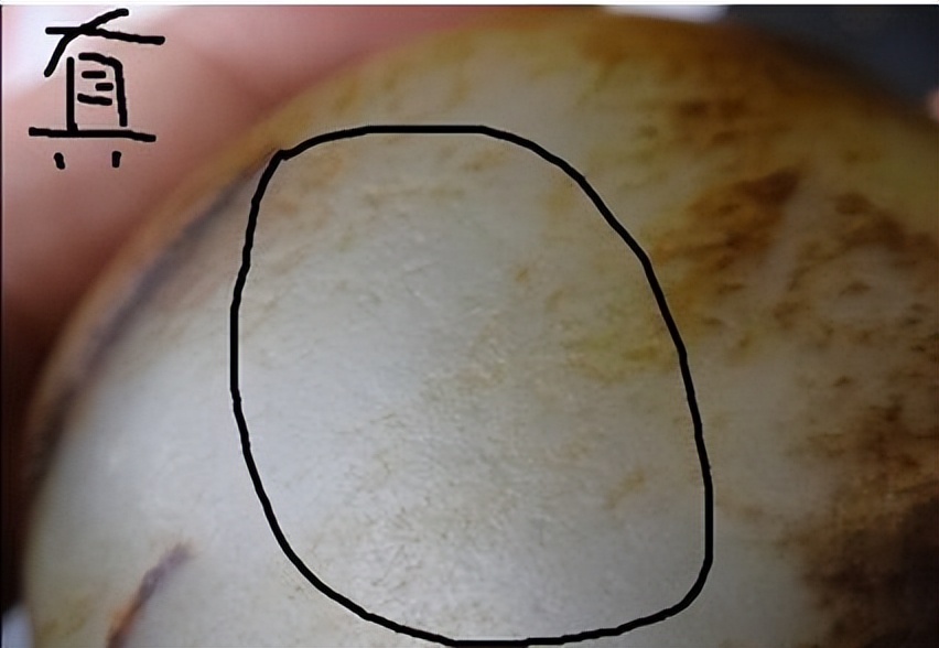 翡翠和田玉基础知识,张国栋和田玉基础知识