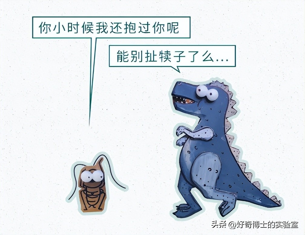 家里踩死的蟑螂，为啥一会儿就自动消失了？