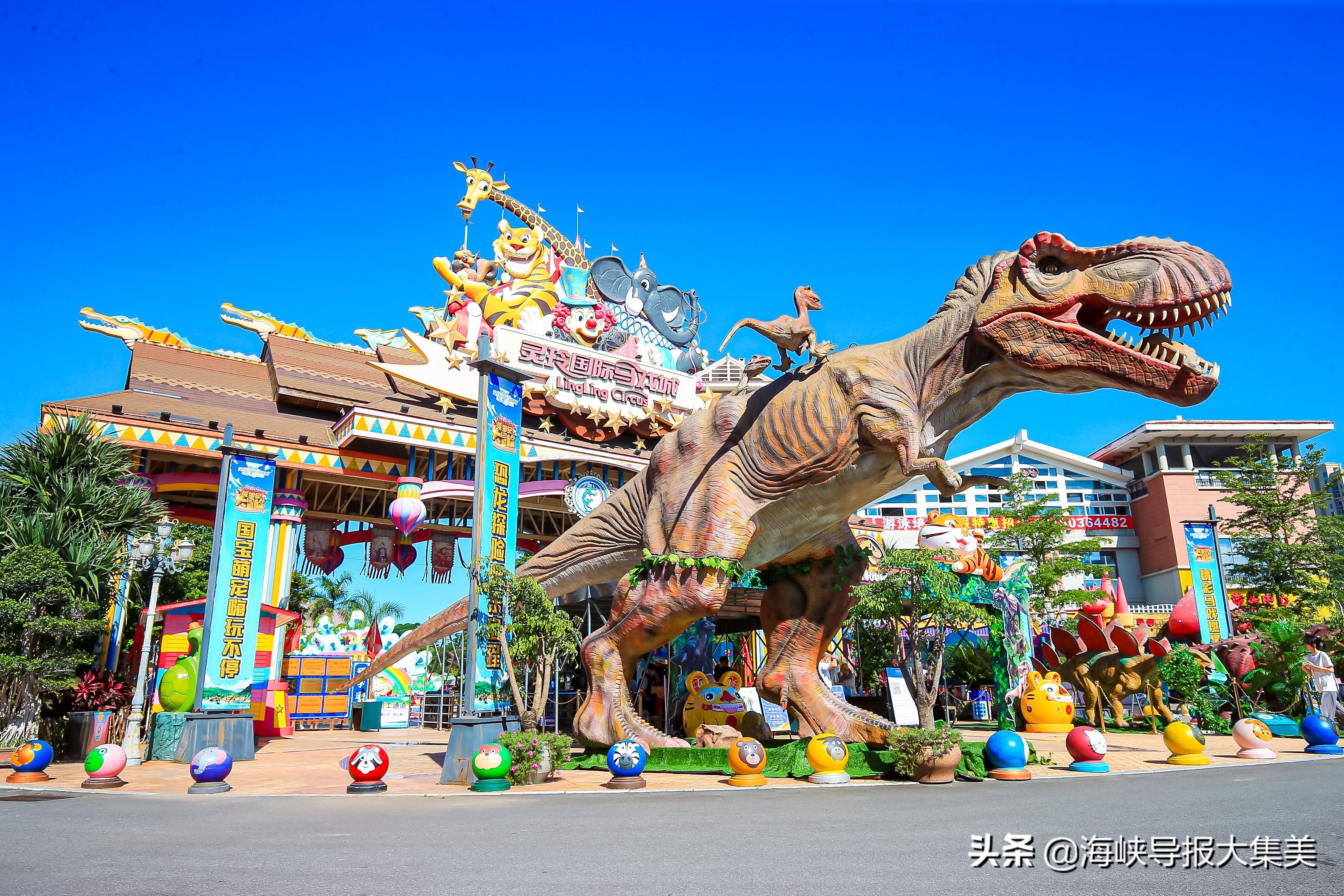 灵玲国际马戏团求婚,灵玲国际马戏团队