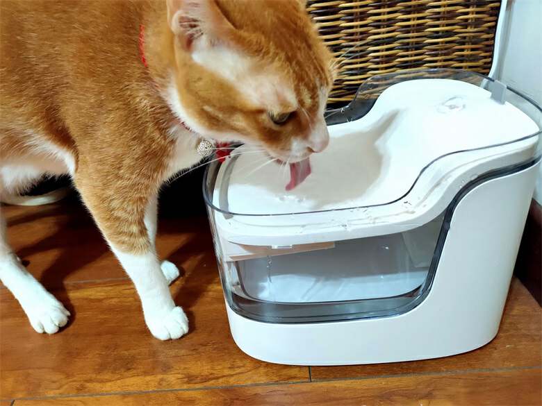 猫自动喂食器和饮水器评测,猫咪自动喂水喂食一体器智能恒温
