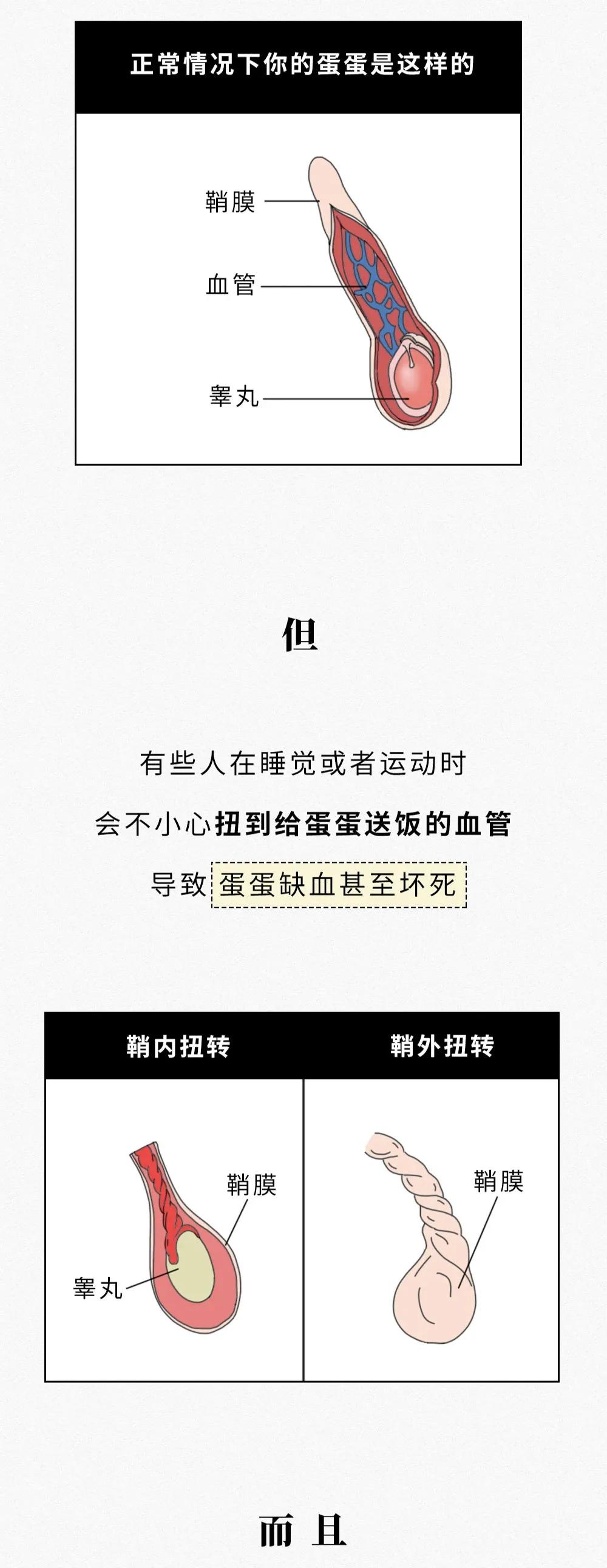 奇怪的知识又增加了：男生只有一个蛋蛋，会影响*生活性**吗？