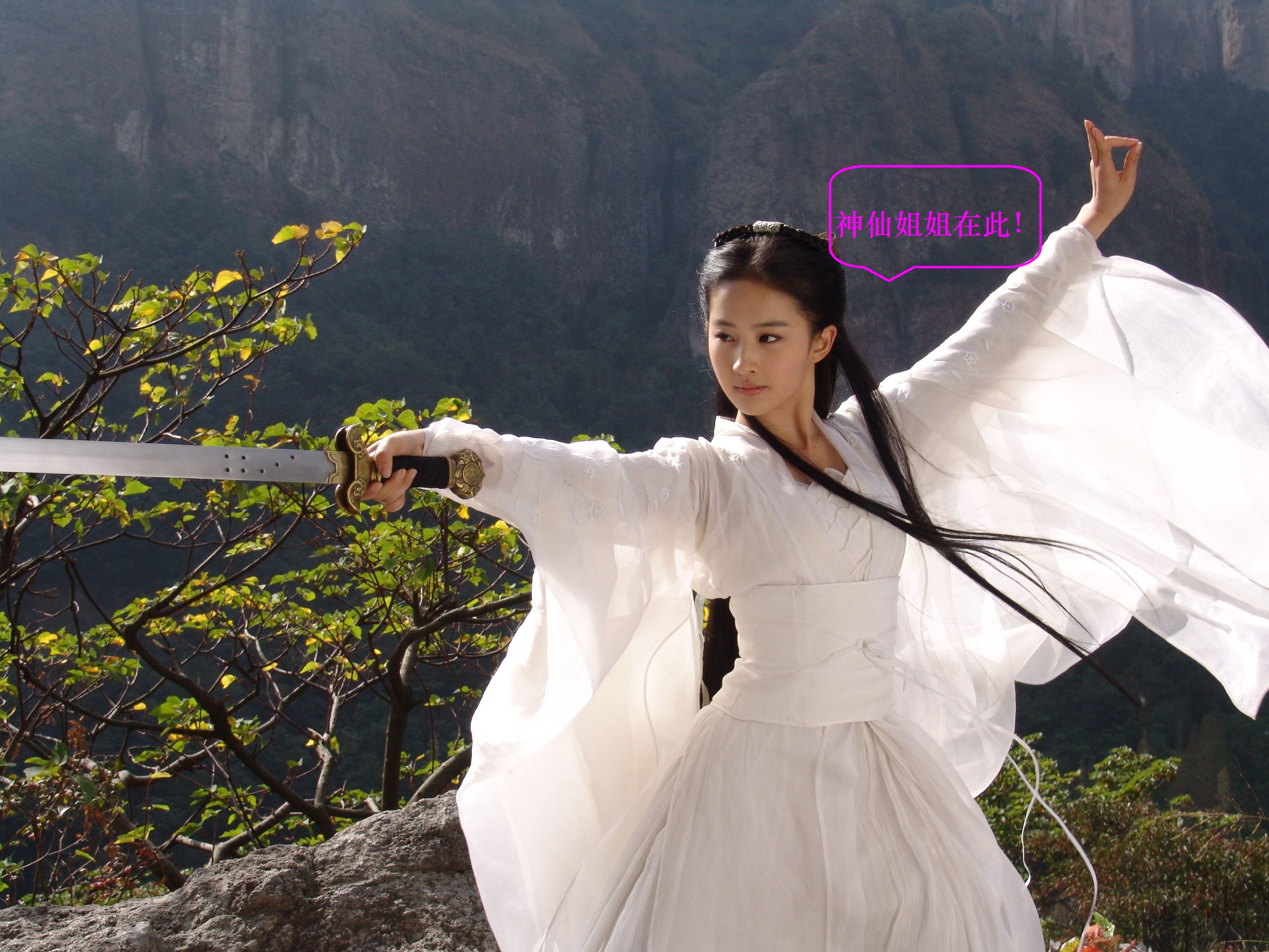 神仙姐姐，报上你的IP地址，我就能在网络世界找到“消失的她”