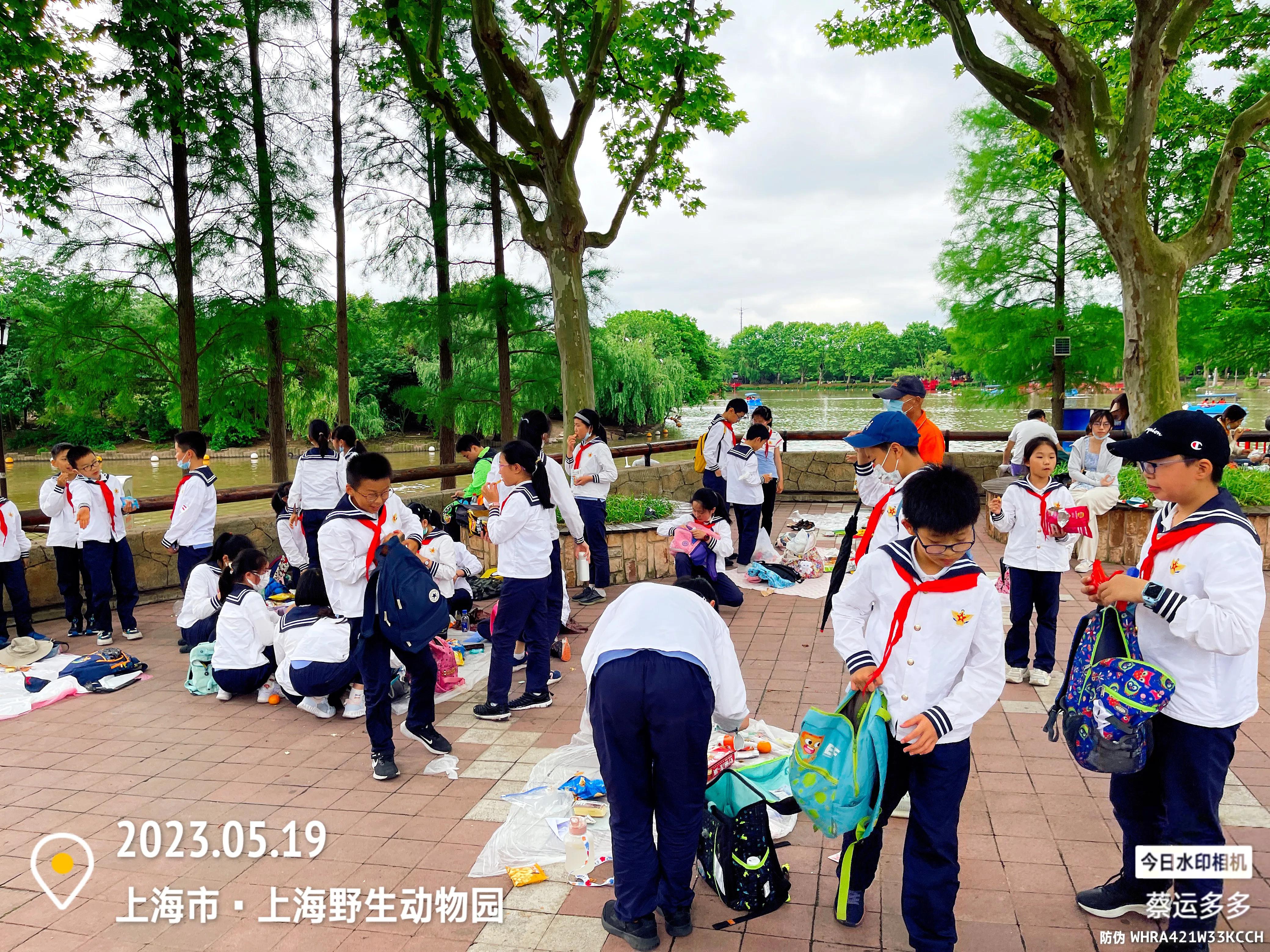 我喜爱的动物是小猫,什么动物招人喜爱