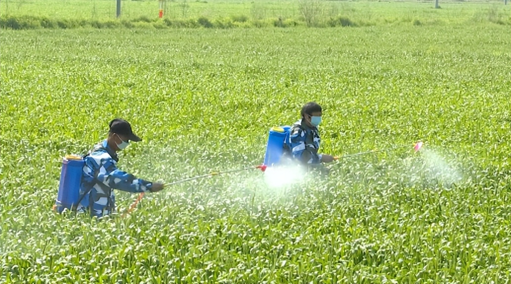 农田集约化管理,农田发展新模式