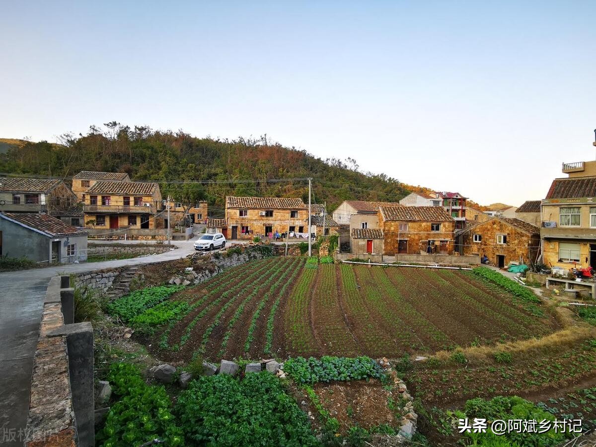 一亩三分地的新农人,如何在农村利用十亩地月入十万