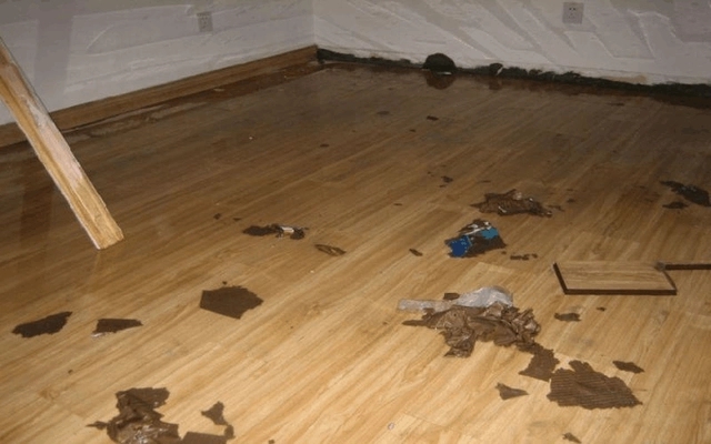 水龙头怎么选才能避免被坑,水龙头应该买什么