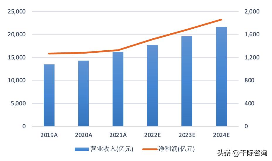 世界杯足球研究,2022年足球世界杯展望