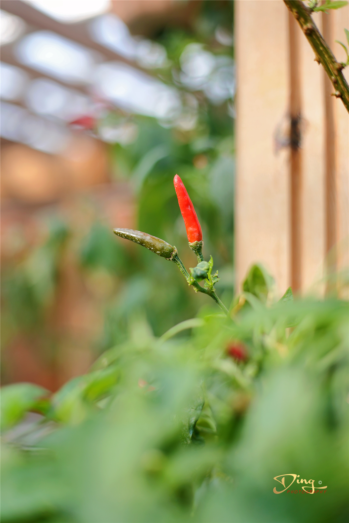 苏州梦里江南二日游攻略,苏州自驾游太湖最佳景点推荐