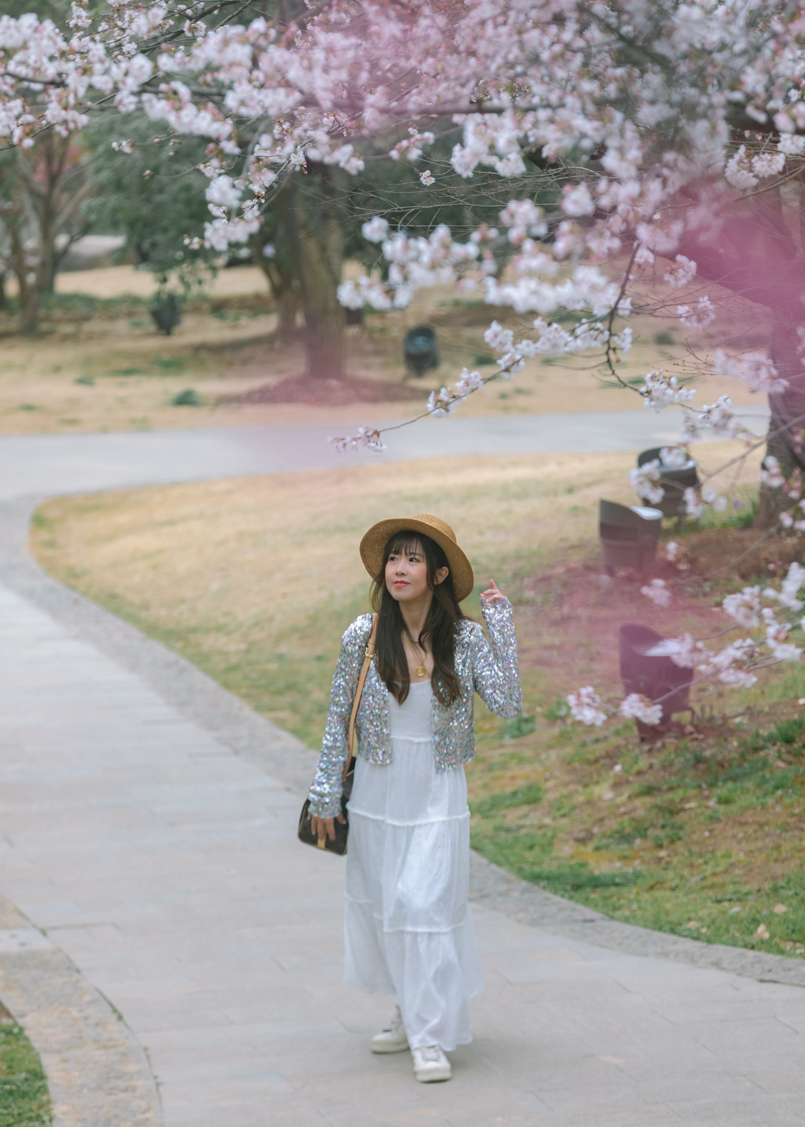 鼋头渚樱花盛宴比日本更令人沉醉,太湖鼋头渚樱花美如画