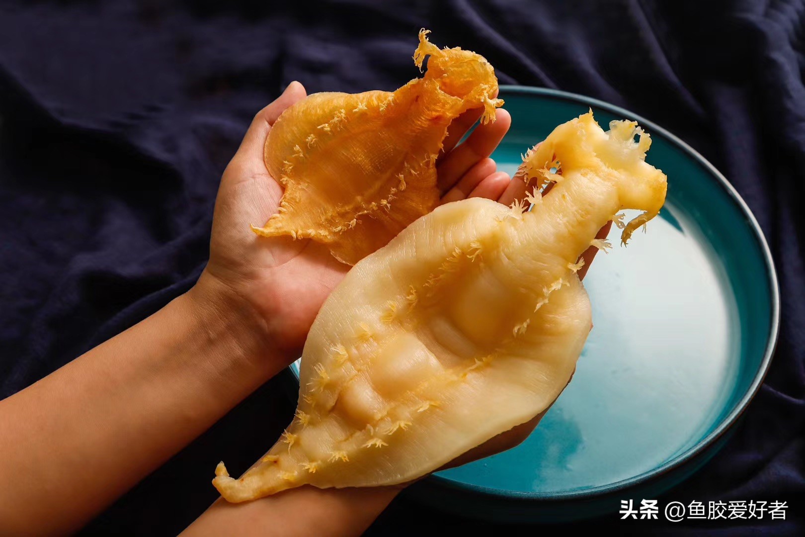 鱼胶小知识分享秒杀来了,鱼胶正确的选择方法是什么