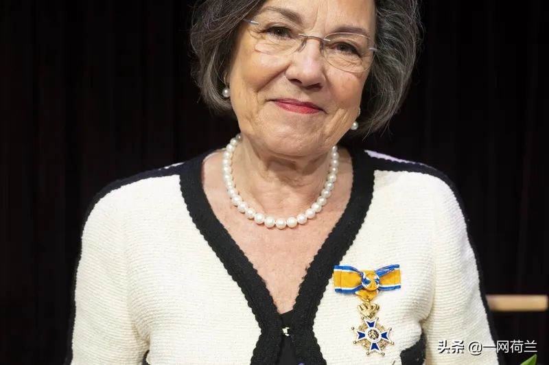 荷兰国王加冕礼,荷兰国王加冕仪式外宾