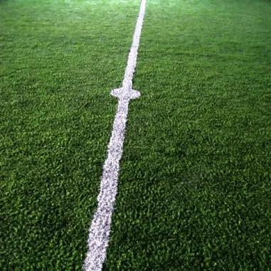 暑假神兽回归减肥训练营,神兽暑期实践