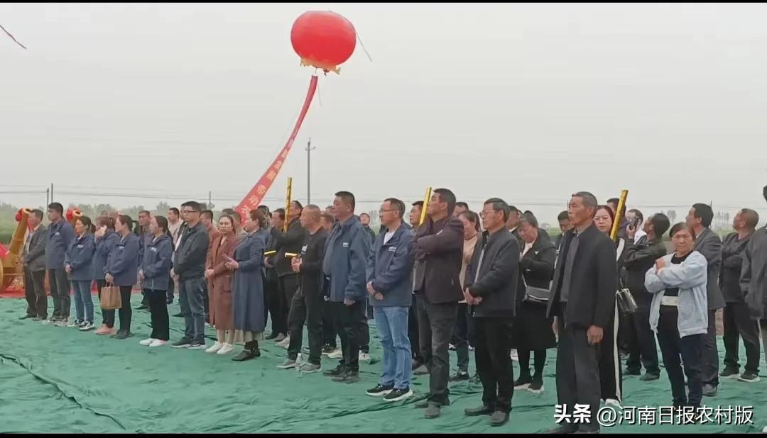 邓州市甜叶菊,邓州市腰店镇赵楼甜叶菊产业