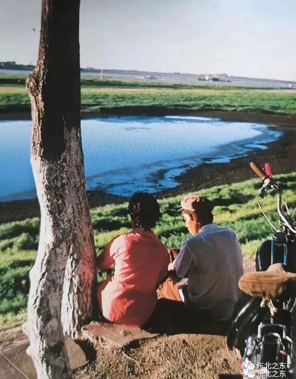 80年代的哈尔滨你还记得吗,哈尔滨70年代视频