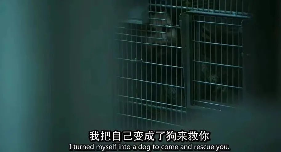 好沙雕的限制级，我喜欢