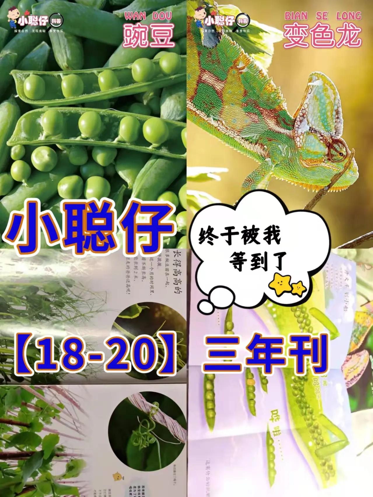 小聪仔科普版过刊值得买吗,小聪仔科普版值得买吗