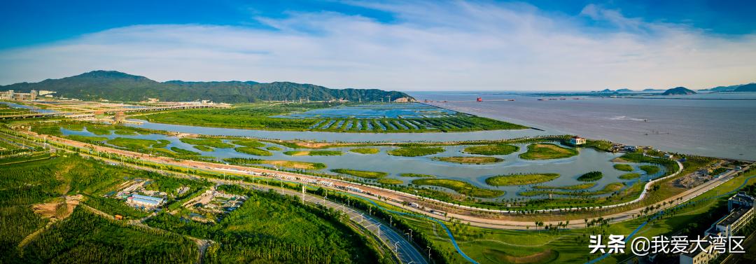 珠海春游赏花,珠海周边踏青景点