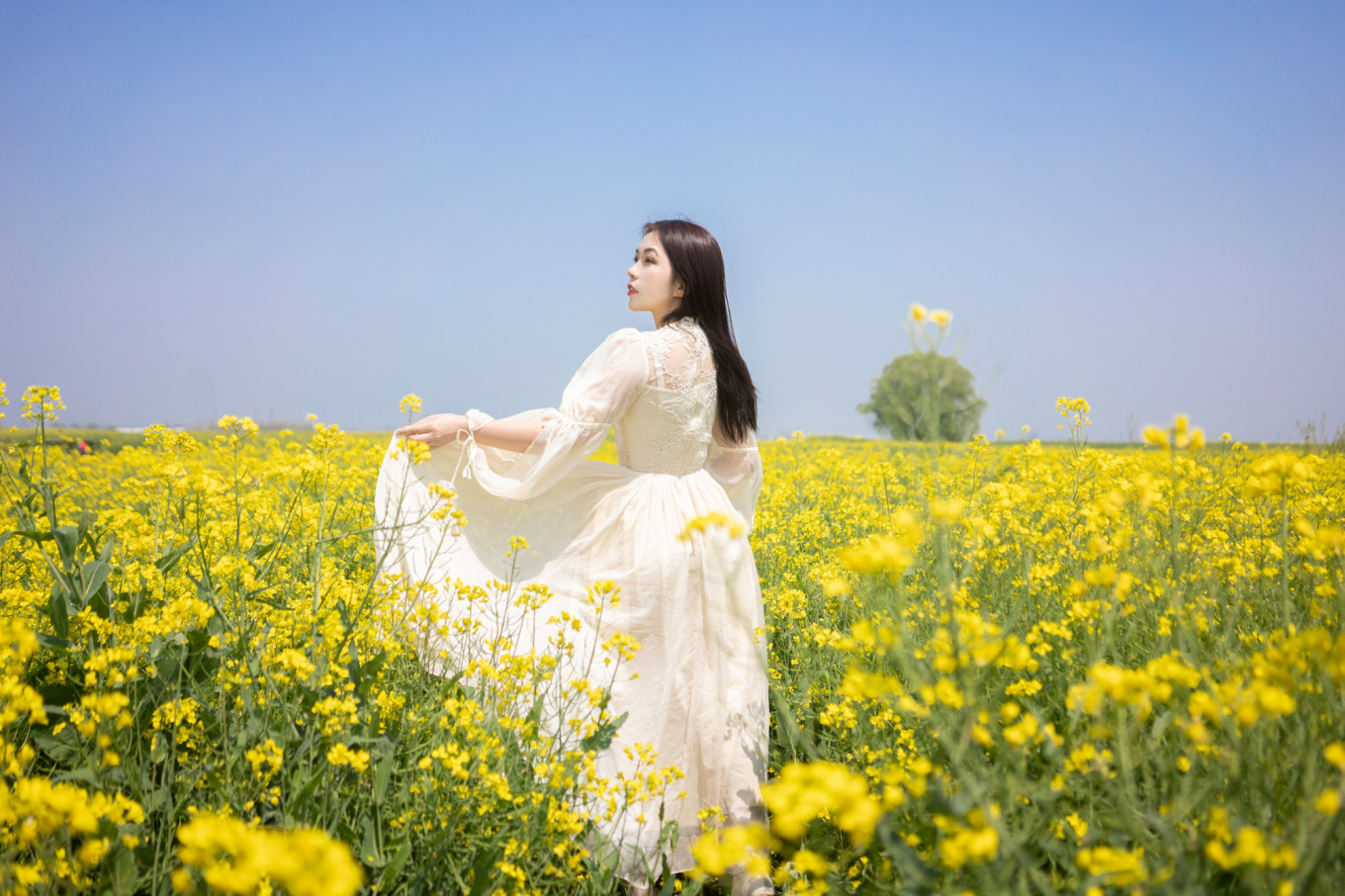 春日下江南杭州,春日下江南古镇