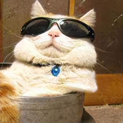 十大经典重生经商小说书单推荐,都市重生创业类小说书单推荐