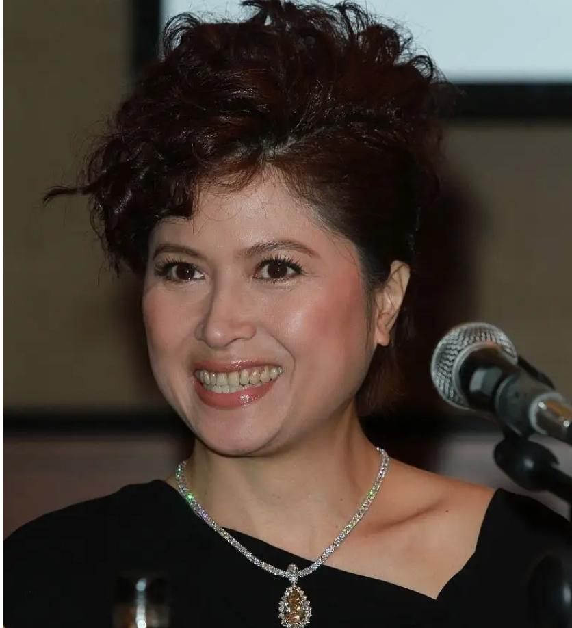 郑伊健什么时候认识蒙嘉慧 (郑伊健现在和蒙佳慧结婚了吗)