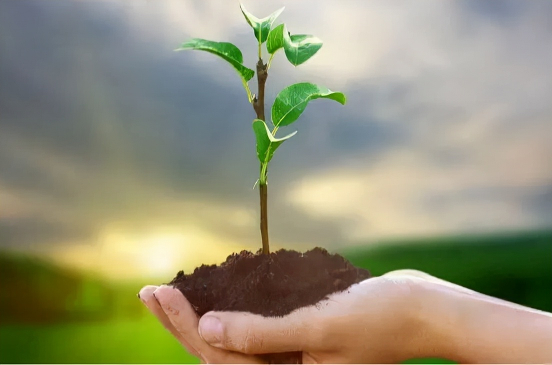 医生劝家属放弃治疗,icu家属放弃治疗后医生怎么做