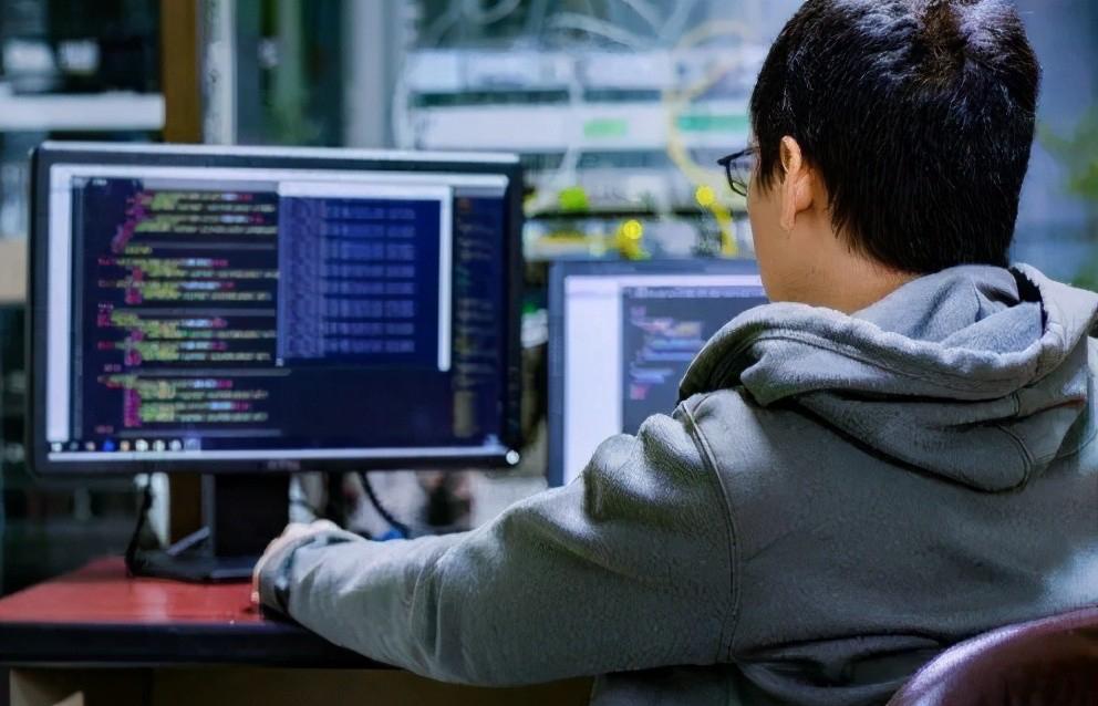 90程序员卖羊粪,90后程序员赚39万