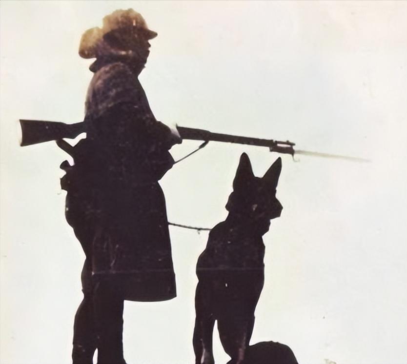 1939年日本狼狗部队,董翰良训练中国狼狗