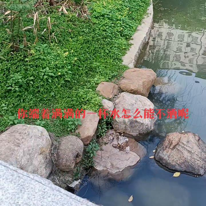 人生最忌满半贫半富半自满,自古人生最忌讳半贫半富半自安