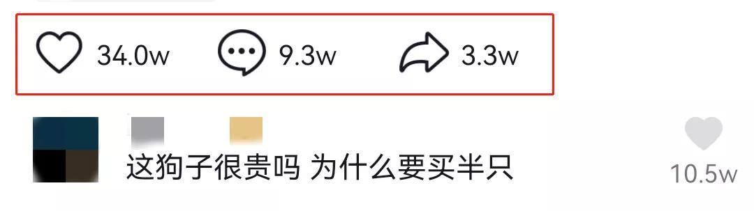 这样的阴间猫狗审美,早该翻车了