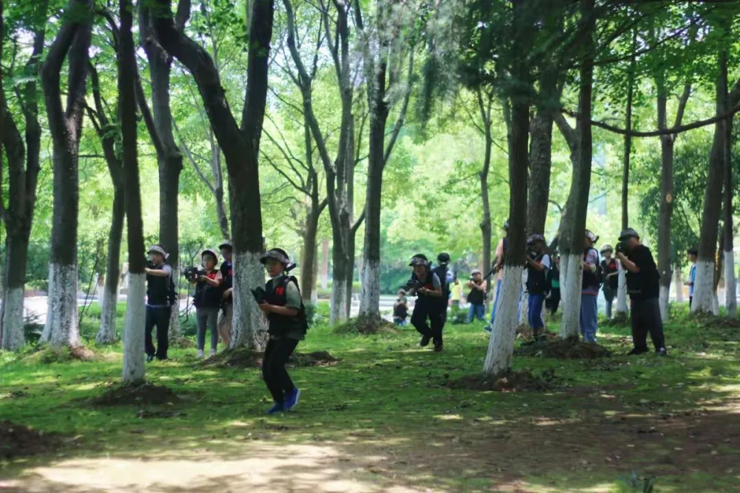 香草伊甸园景区最佳花开期,转发此文